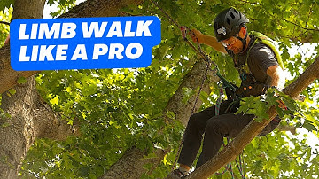 MASTER Branch Walking Techniques voor boomklimmen!