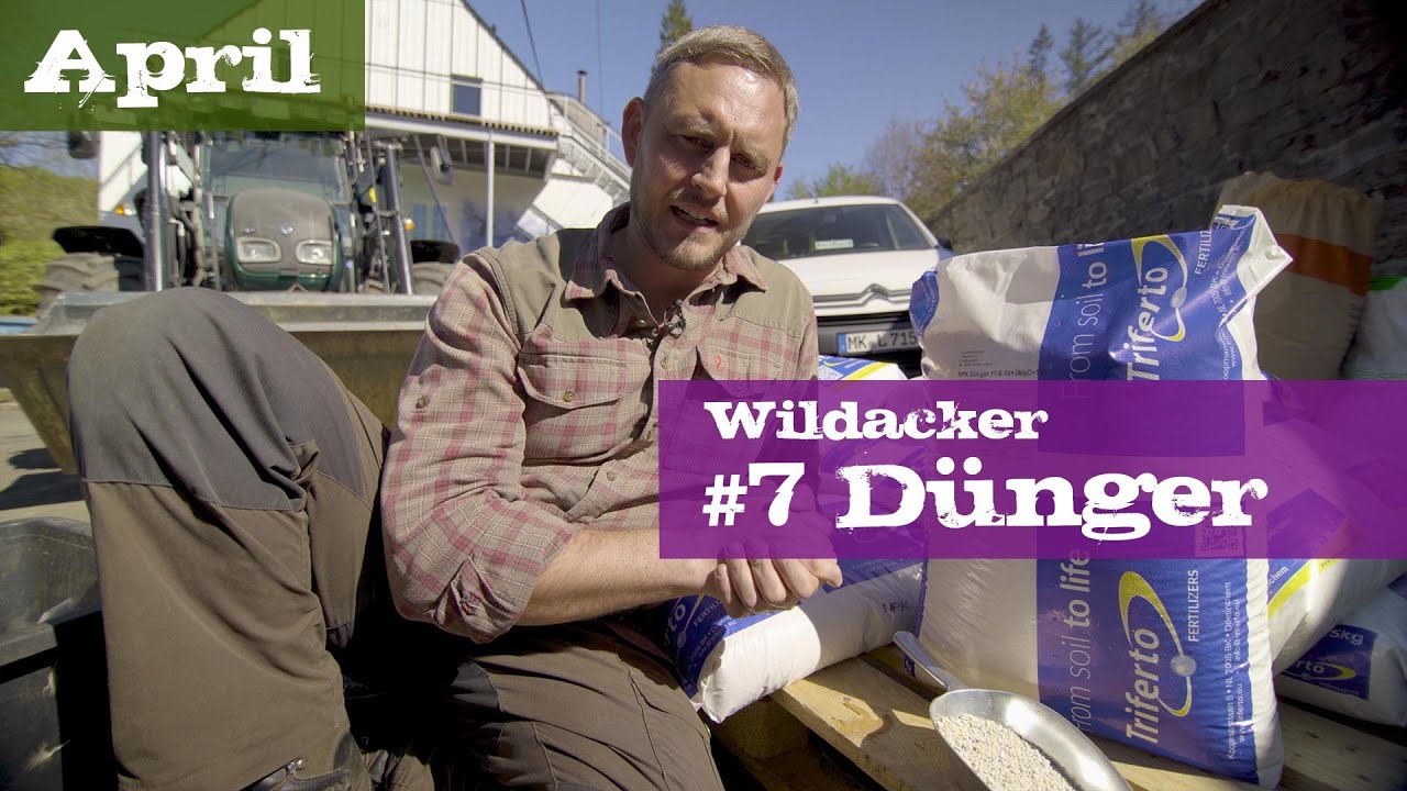 Wildacker #7 Dnger | April | Ein Jagdjahr durchs Jagdrevier