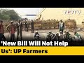 Farmers Protest | Beyond National Capital Region: What Farmers In Other States Think