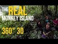 Amazon Rainforest Day 1: The REAL Monkey Island (3D 360 VR) - 2018