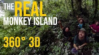 Amazon Rainforest Day 1: The REAL Monkey Island (3D 360 VR) - 2018