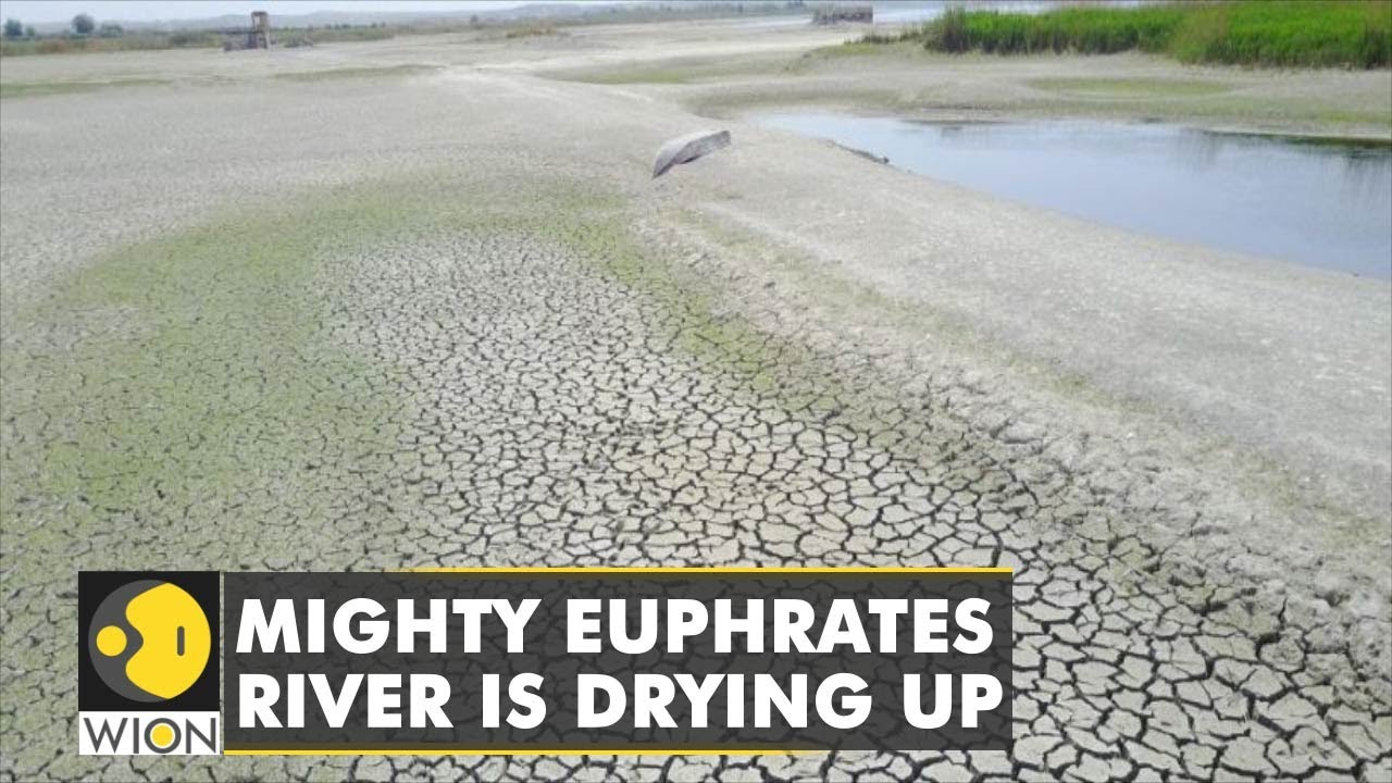 Drought hits West Asia's longest Euphrates river | 12 mn face water shortage in Syria, Iraq | News