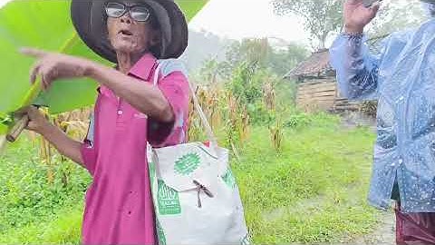 BELUM MENIKAH DILARANG MENONTON ..!!KEHIDUPAN SUKU JAWA DI DESA TERPENCIL JAWA TENGAH