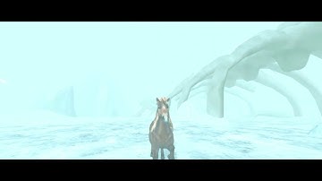 wild card - sso short edit -