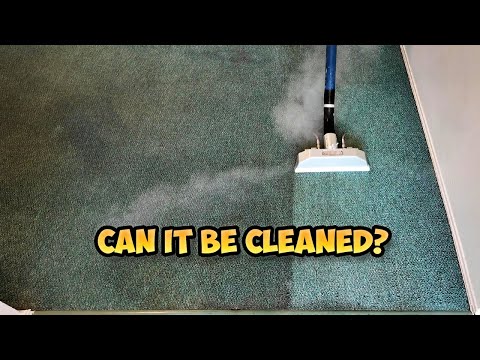 Carpet Steam Cleaning Near Me