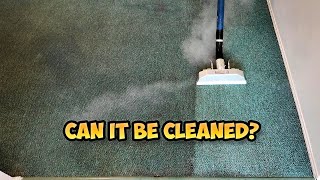 Super Dirty Carpet Steam Cleaning  Rental Property