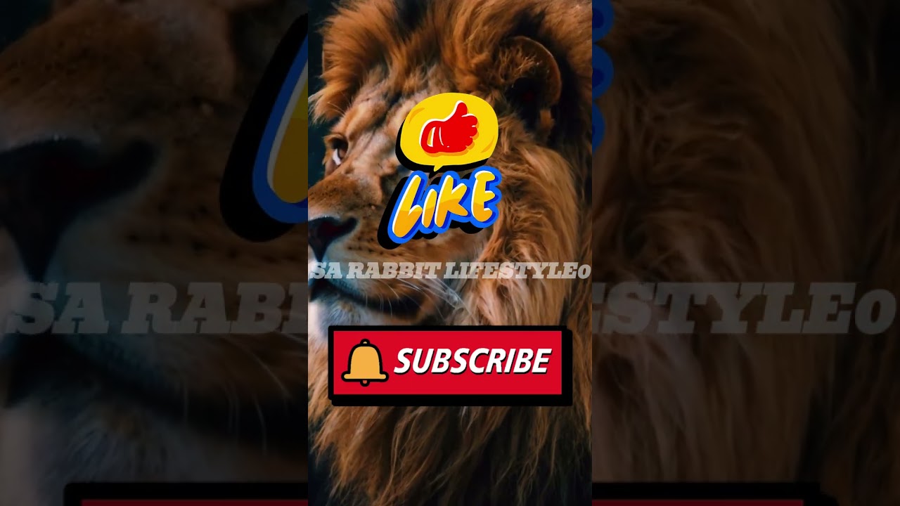 A fierce lion with a cosmic mane, A rabbit riding a unicycle while juggling 