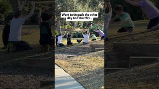 Just Guys Being Dudes