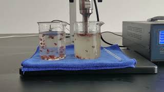 Laboratory ultrasonic mushroom extraction machine