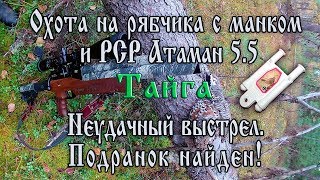 Охота в тайге на рябчика с манком и РСР АТАМАН Ultra 5.5. Добрал подранка после неудачного выстрела!