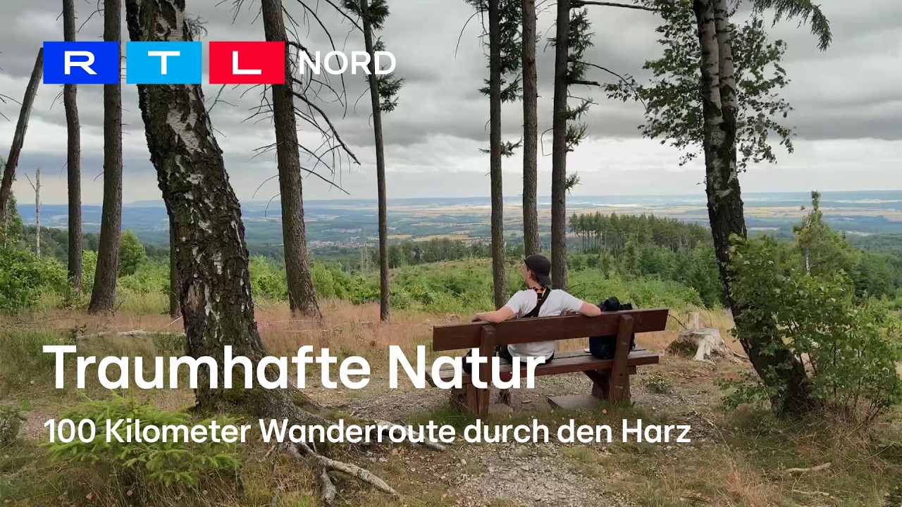 Wandern im Harz: Die schönsten Routen und besten Tipps