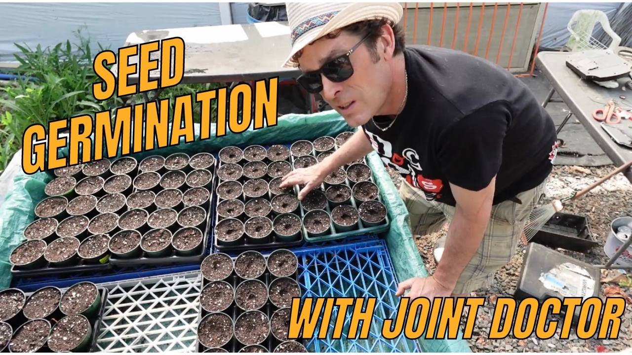 Seed Germination: Tips from the Joint Doctor