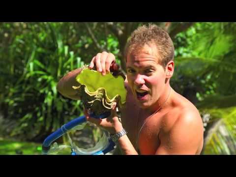 FIJI 2012.mov