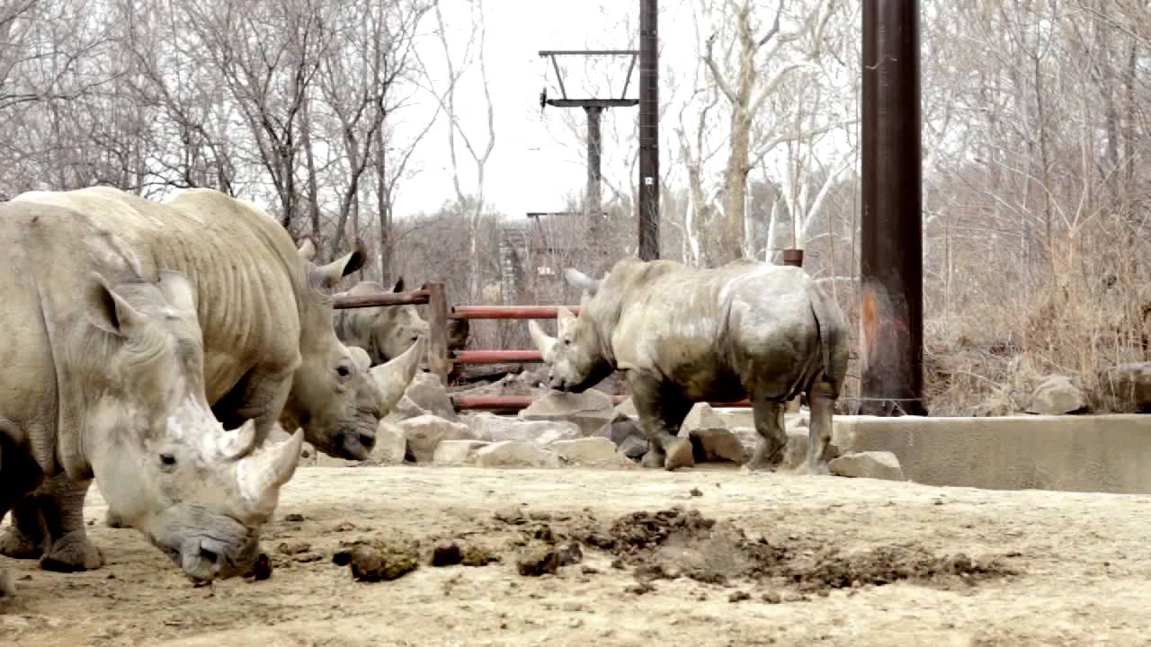 Comparative Nutrition Department