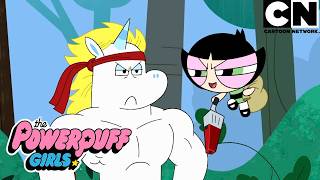 As meninas diante de novos problemas | As Meninas Superpoderosas | Cartoon Network 🇧🇷