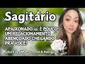 ♐ SAGITÁRIO 💖 APAIXONADO (a) É POUCO!! 😍 UM RELACIONAMENTO ABENÇOADO CHEGANDO PRA VOCÊ! 🙌✨💐