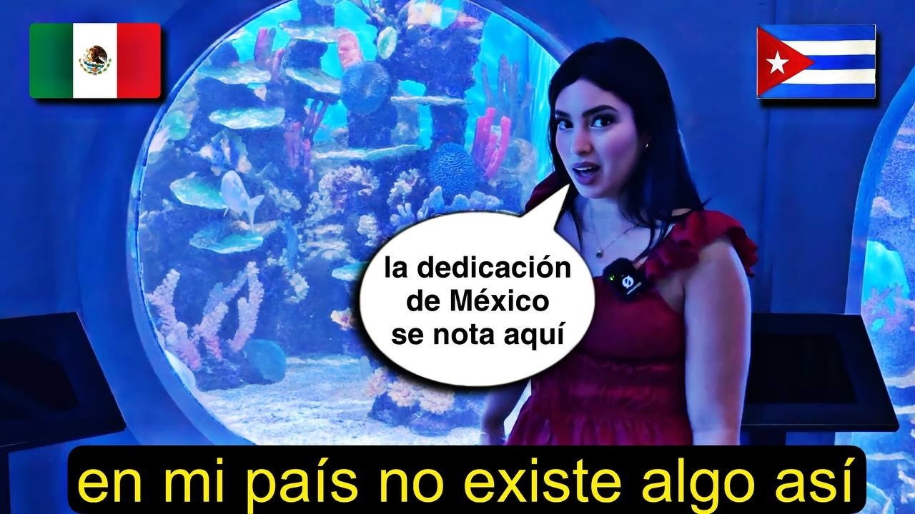 Conozco el Acuario de Veracruz ¿Es el más grande de México?