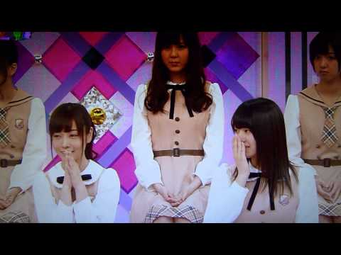 コケても可愛い　ひめたん