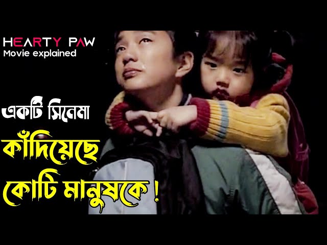 ( আপনি কাঁদতে বাধ্য বারবার ) Hearty Paws Korean Movie Bangla Explanation | Explain in Bangla class=