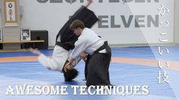 Daniel DERFLINGER at Beautiful Aikido Festival 2025