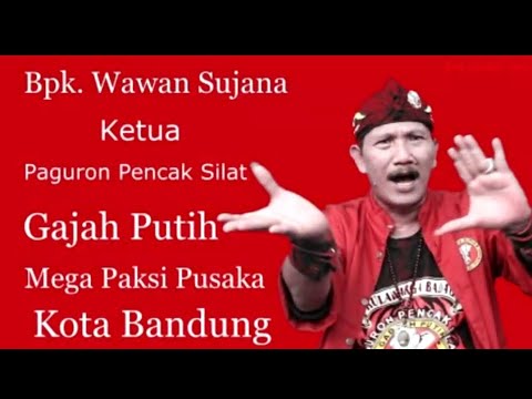 GAJAH PUTIH \