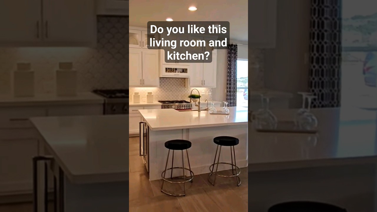 Luxury Living Room and Kitchen 