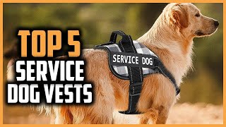 ✅Top 5 Best Service Dog Vests of 2024