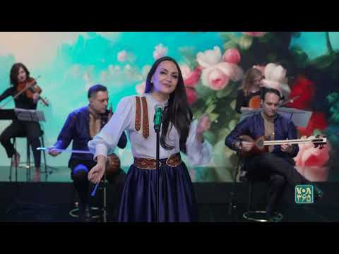   مجنون نبودم کوروش بابایی مان خضرایی گروه بدون مرز