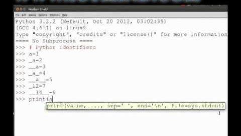 Identifiers in python program