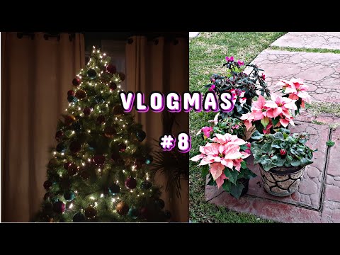 Vlogmas 🎄 día8, no había dulces