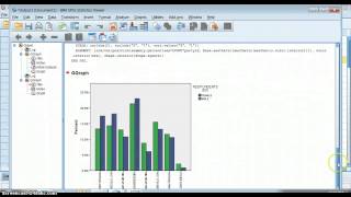 How to Make a Bar Chart in SPSS