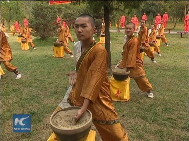 Iron Hand Kung Fu that can smash muscles and break bones