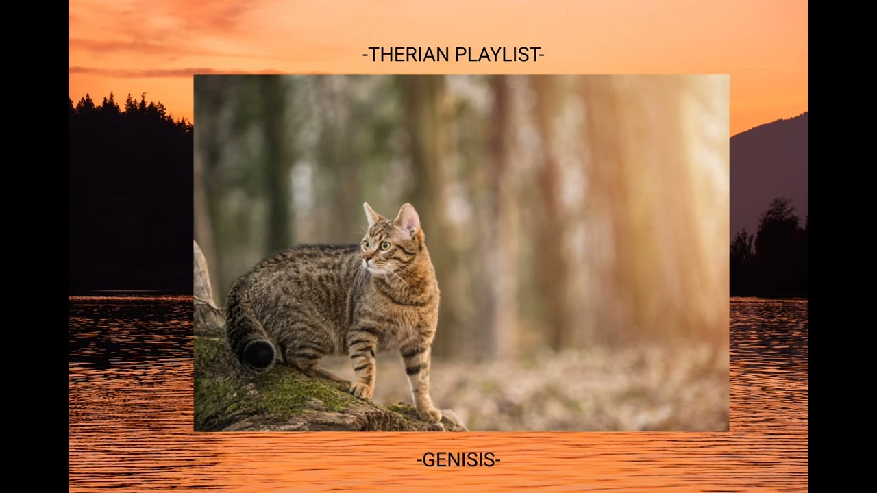 Playlist Therian videos created by @indie_fennec