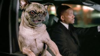 Men In Black 2 - Frank The Pug Smashes I Will Survive (2002) | Comedy Society