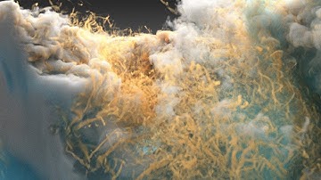 Visualizing the World