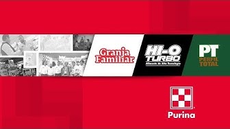 Purina Youtube
