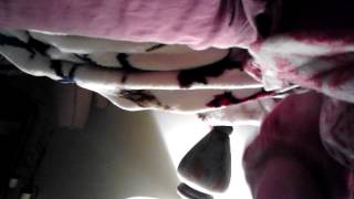 My gerbil squeaking again