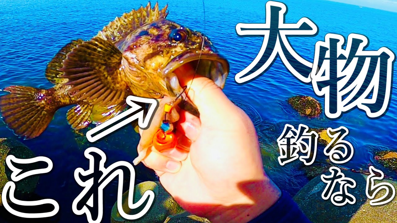 【穴釣り】誰でも大物が狙えるブラクリとエサを紹介します。