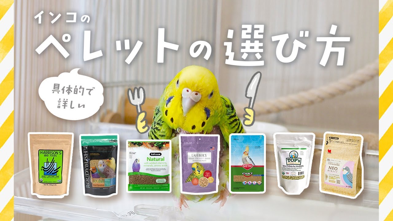 【インコ】ペレットの選び方 | 具体的でカンタンな方法でいっしょに選んでみましょ | 開封したペレットの保存方法