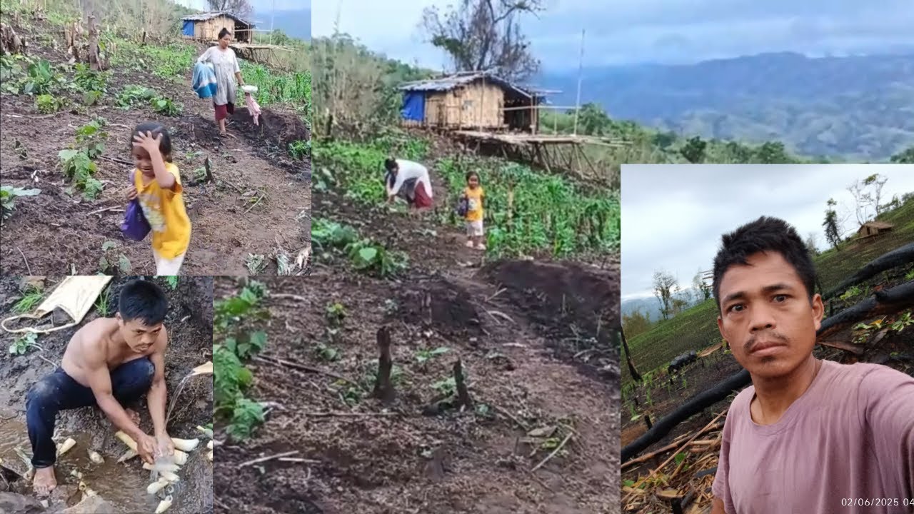 Jhum House Exploring the Jhum Cultivation - YouTube