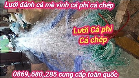 Lưới đánh cá 3 màn Đánh Cá mè vinh cá rô phi 8 phân Cao 5 mét Dài 100m 200m 300m làm theo yêu cầu