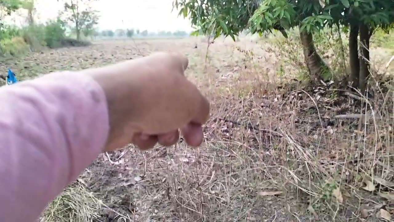 #เตรียมพื้นที่ไว้ทำกองปุ๋ยหมักและกิจวัตรประจําวัน