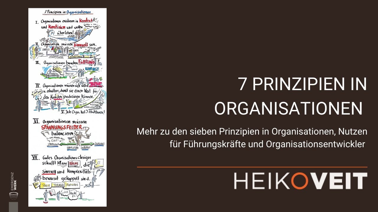 7 Prinzipien Der Gruppenpädagogik 7 Prinzipien in der Organisation - YouTube