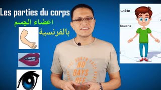 تعليم اللغة الفرنسية : أعضاء الجسم بالفرنسية Les parties du corps