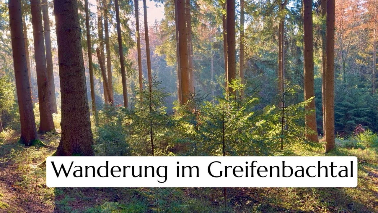 Wanderung im Greifenbachtal