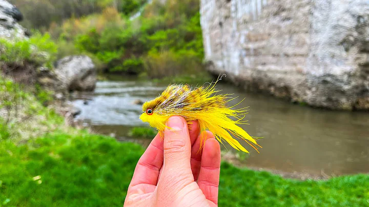 Streamer Fishing SMALL Creeks For Brown Trout! (Pa...