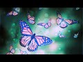 Love Music | 432Hz Relaxing Music | Meditative Healing Energy | Raise Positive Vibes