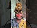 Lion Puzzle #challange #viral video challange #