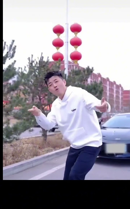 刘晓超- 不能不想你Liu xiao chao -  bu neng bu xiang ni