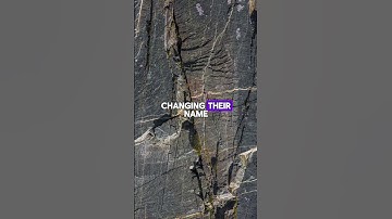 Rock Types 🎵 #sedimentary metamorphic #igneous #geology #rocktypes